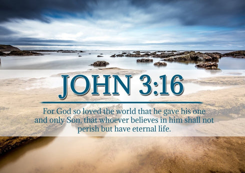 John 3:16 NIV #29 Bible Verse Canvas Wall Art