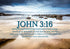 John 3:16 NIV #29 Bible Verse Canvas Wall Art