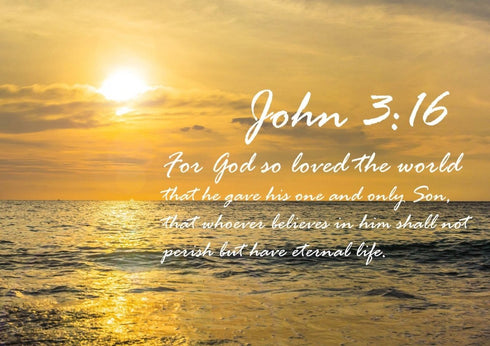 John 3:16 NIV #3 Bible Verse Canvas Wall Art