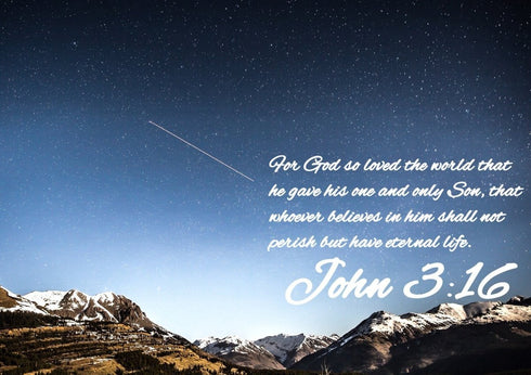 John 3:16 NIV #7 Bible Verse Canvas Wall Art