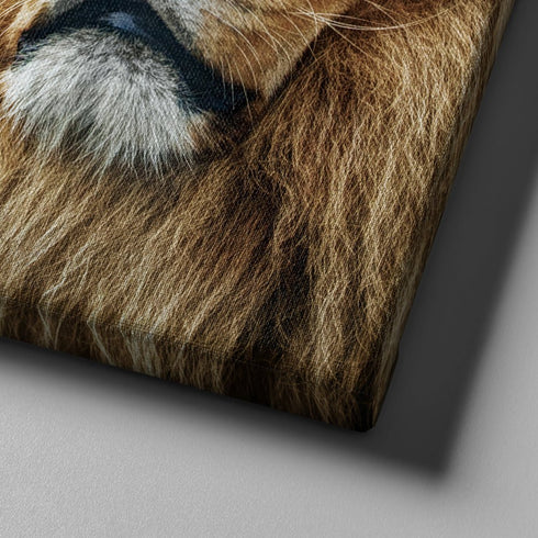 King of Lions #12 Joshua 1:9 Be Strong and Courageous Wall Art