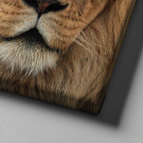 Lions Stare #11 Joshua 1:9 Be Strong and Courageous Wall Art