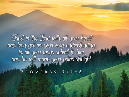 Proverbs 3:5-6 #13 NIV Trust in the Lord Bible Verse Canvas Wall Art