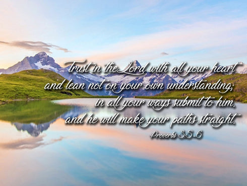 Proverbs 3:5-6 #14 NIV Trust in the Lord Bible Verse Canvas Wall Art