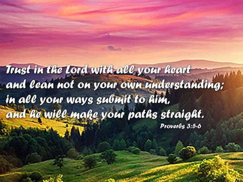 Proverbs 3:5-6 #24 'Trust in the Lord with all your Heart' Bible Verse Canvas Wall Art