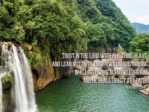 Proverbs 3:5-6 #25 'Trust in the Lord with all Thine Heart' Christian Scripture Wall Art Canvas