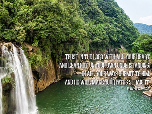 Proverbs 3:5-6 #25 'Trust in the Lord with all your Heart' Bible Verse Canvas Wall Art