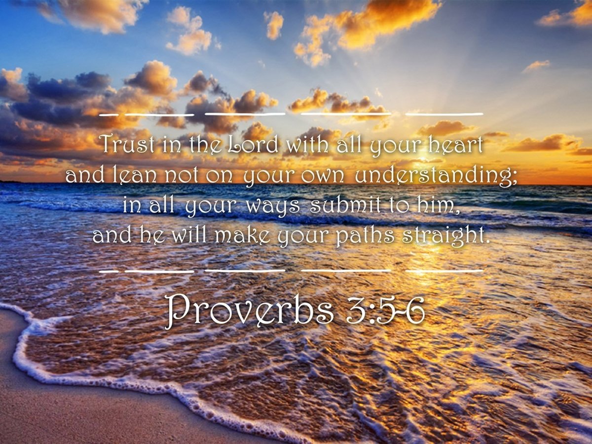 Proverbs 3:5-6 #28 'Trust in the Lord with all your Heart' Bible Verse –  Christian Walls, image size:1200x900