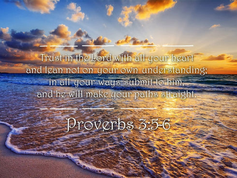 Proverbs 3:5-6 #28 'Trust in the Lord with all your Heart' Bible Verse Canvas Wall Art