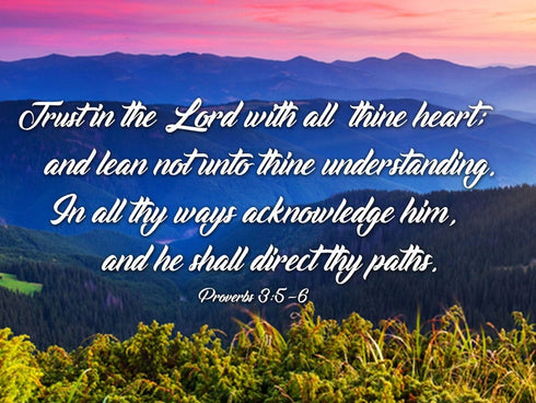 Proverbs 3:5-6 #3 KJV 'Trust in the Lord' Christian Scripture Wall Art Canvas