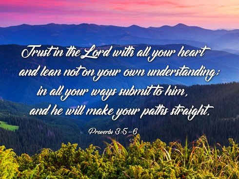 Proverbs 3:5-6 #3 NIV Trust in the Lord Christian Scripture Wall Art Canvas