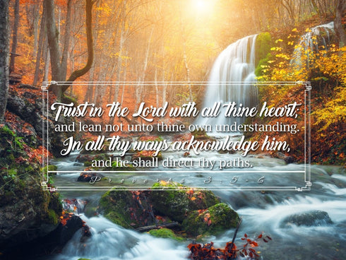 Proverbs 3:5-6 #40 KJV 'Trust in the Lord with all Thine Heart' Christian Scripture Wall Art Canvas