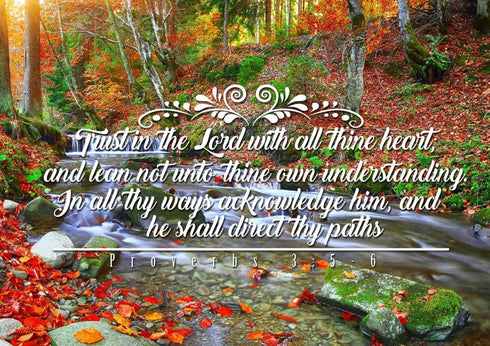 Proverbs 3:5-6 #41 KJV 'Trust in the Lord with all Thine Heart' Christian Scripture Wall Art Canvas