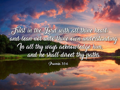 Proverbs 3:5-6 #6 KJV 'Trust in the Lord' Christian Scripture Wall Art Canvas