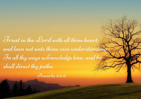 Proverbs 3:5-6 KJV #1a Bible Verse Canvas Wall Art