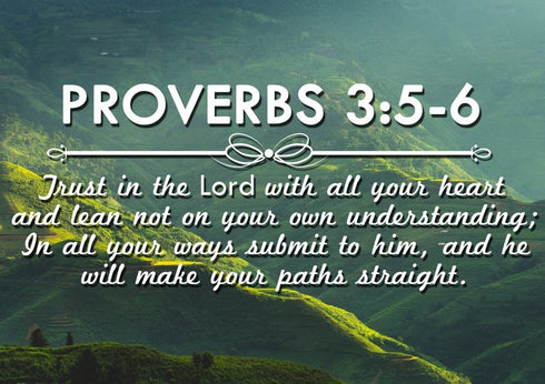 Proverbs 3:5-6 NIV #51 Bible Verse Canvas Wall Art