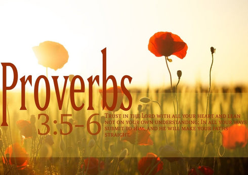 Proverbs 3:5-6 NIV #53 Bible Verse Canvas Wall Art