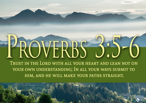 Proverbs 3:5-6 NIV #54 Bible Verse Canvas Wall Art