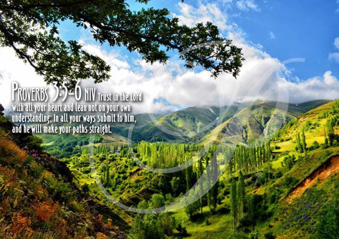 Proverbs 3:5-6 NIV #56 Bible Verse Canvas Wall Art