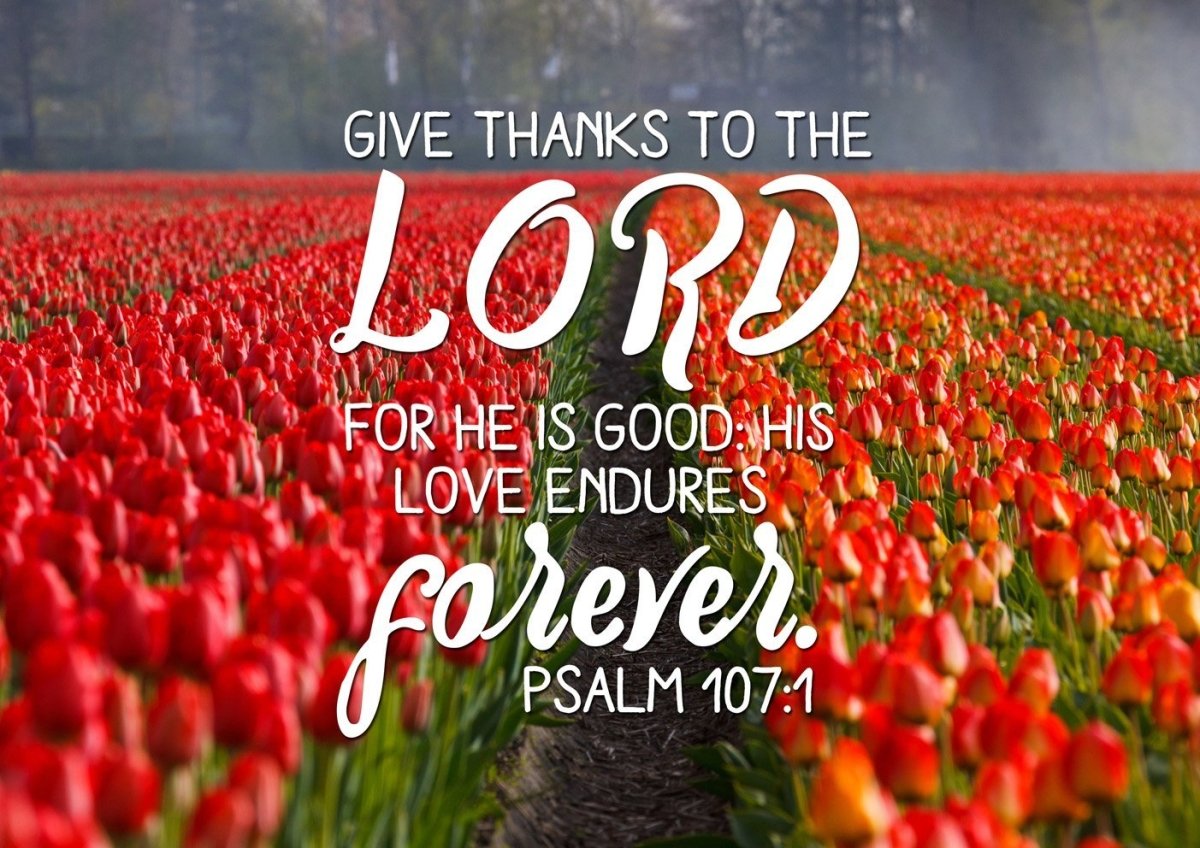 Psalm 107 1 Give Thanks To The Lord Canvas Wall Art Print Christian Walls psalm-107-1-give-thanks-to-the-lord-canvas-wall-art-print-christian-walls