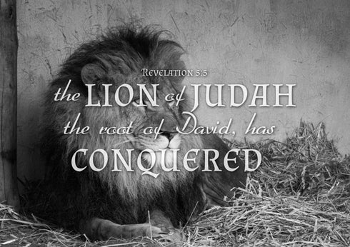 Revelation 5:5 Canvas Wall Art Print - Christian Walls