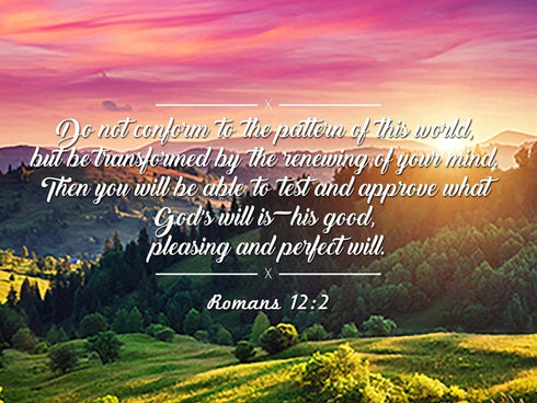 Romans 12:2 #3 NIV Do not conform to the pattern Bible Verse Wall Art Canvas