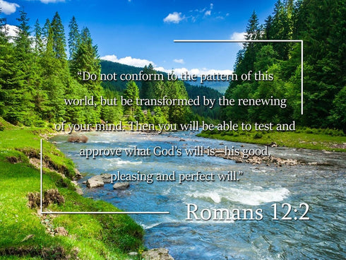 Romans 12:2 #5 NIV Do not conform to the pattern Bible Verse Wall Art Canvas