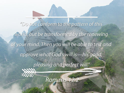 Romans 12:2 #6 NIV Do not conform to the pattern Bible Verse Wall Art Canvas