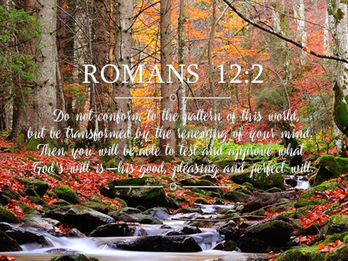 Romans 12:2 #7 NIV Do not conform to the pattern Bible Verse Wall Art Canvas