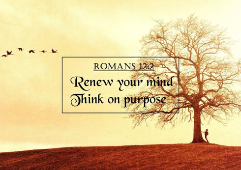 Romans 12:2 Canvas Wall Art Print