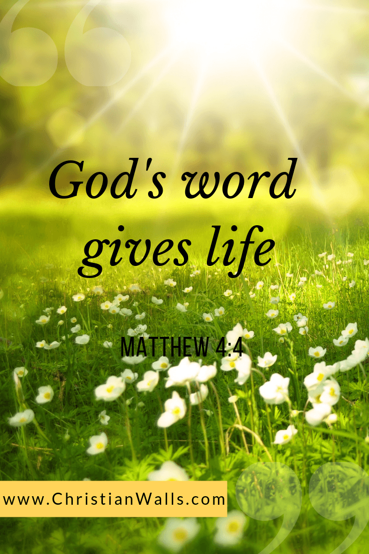 35 Bible Verses & Christian Quotes about Praise (Must Know) – Christian ...