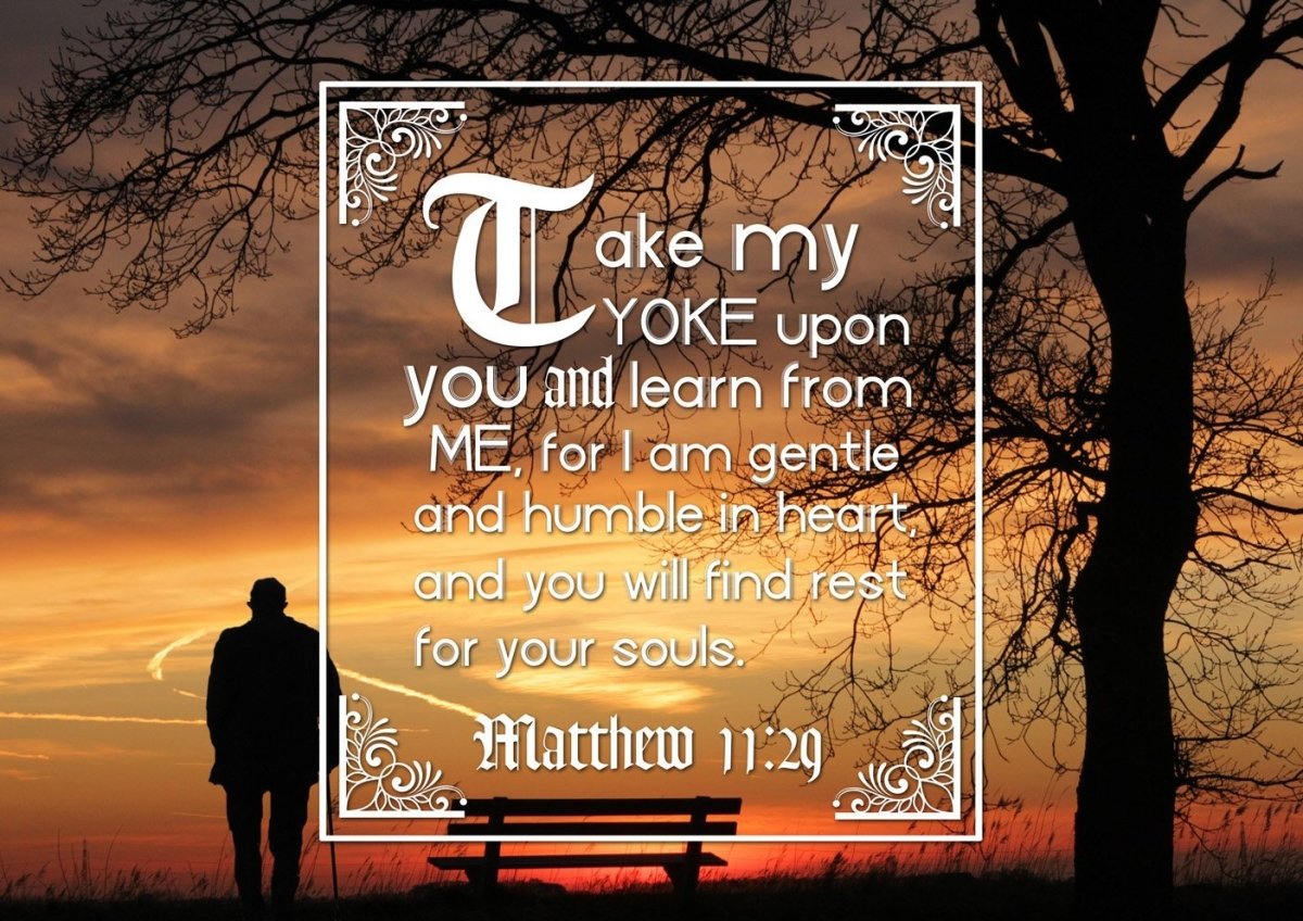 Matthew 11:29 Canvas Wall Art Print - Christian Walls