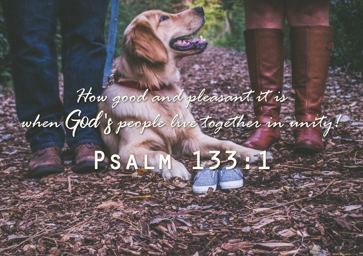 Psalm 133:1 Canvas Wall Art Print – Christian Walls